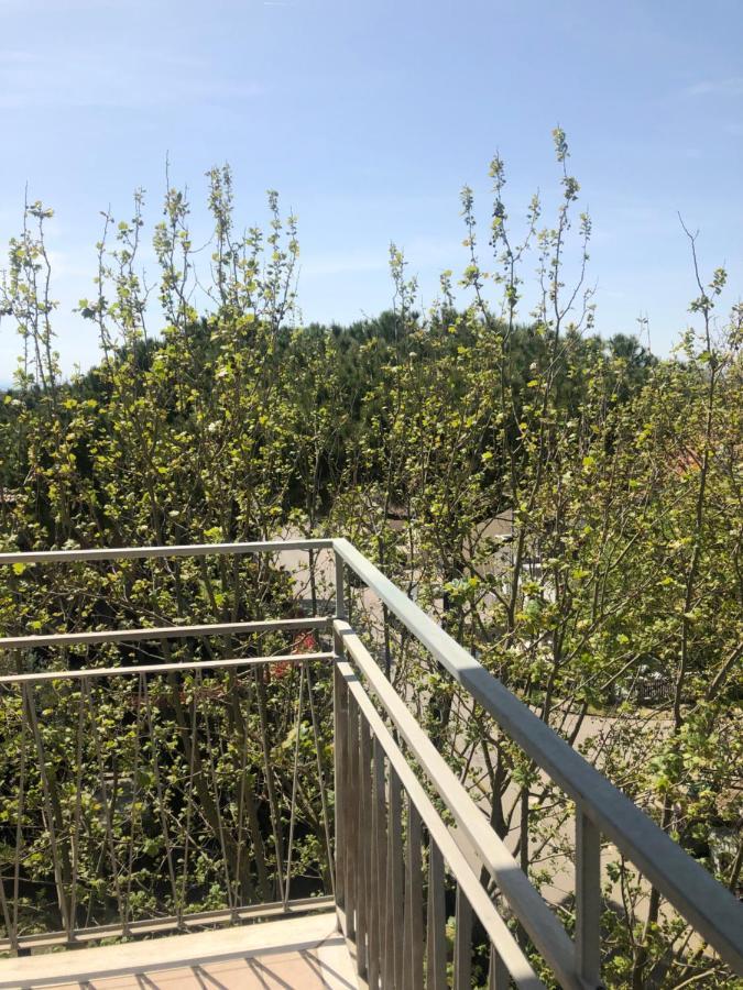 Hotel Del Falco Cervia Bagian luar foto